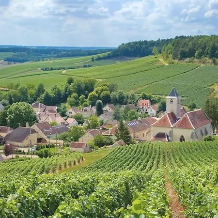 Reims Champagne Vineyard * Lavannes